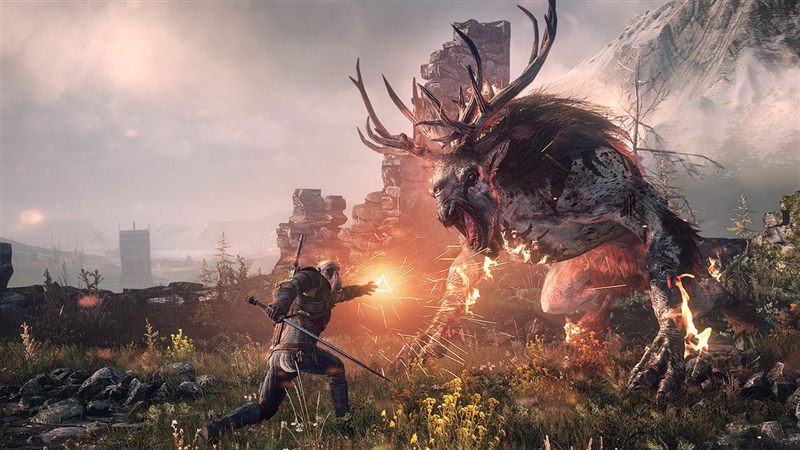 The Witcher 3: Wild Hunt — view 2